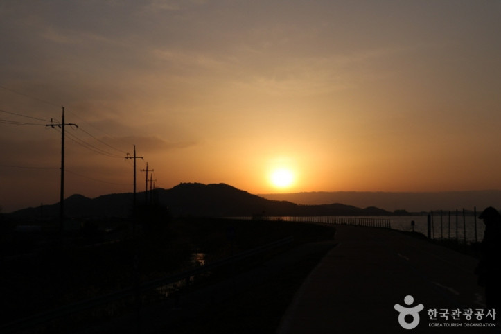 금강하구 철새도래지 (서천) 여행 추천 - 메고지고