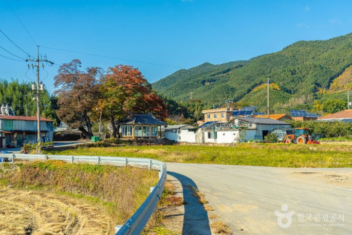 방광마을 여행 추천 - 메고지고