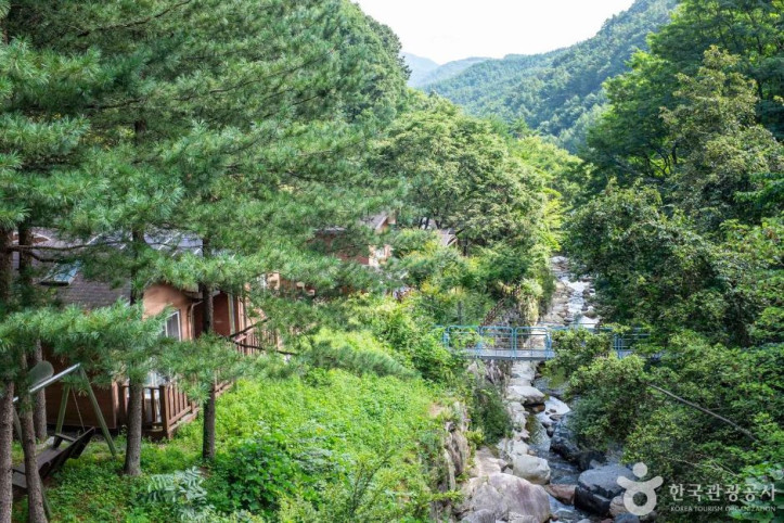 수도산자연휴양림 여행 추천 - 메고지고