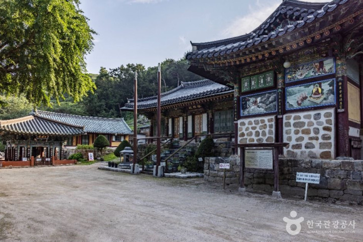 백련사(강화) 여행 추천 - 메고지고