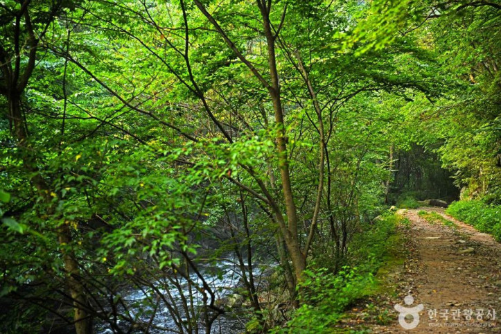 덕산계곡 여행 추천 - 메고지고