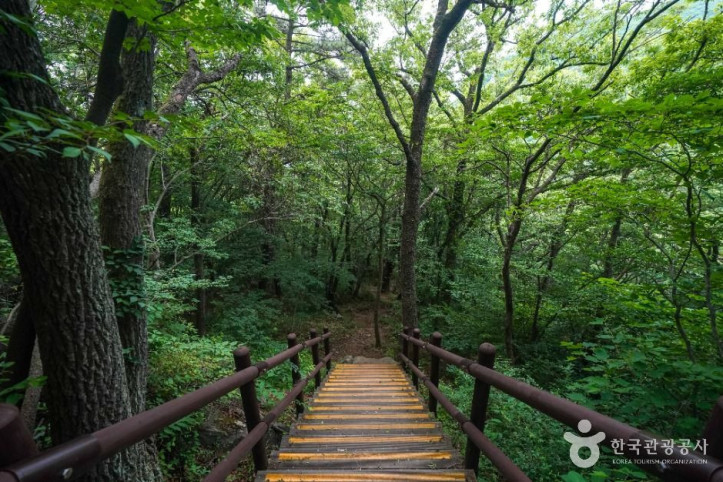 북병산 여행 추천 - 메고지고