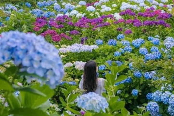 현애원 여행 추천 - 메고지고