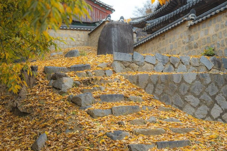 동락서원 여행 추천 - 메고지고