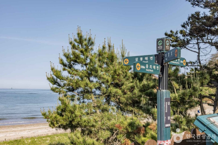 삼봉해수욕장 여행 추천 - 메고지고
