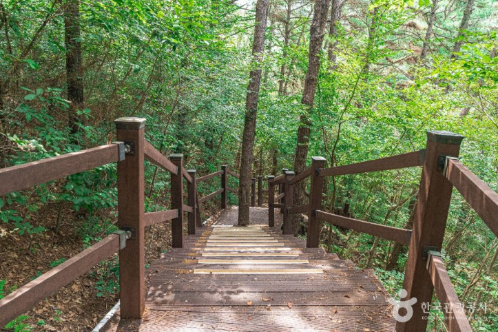 문수산산림욕장 여행 추천 - 메고지고