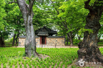 월성이랑 여행 추천 - 메고지고