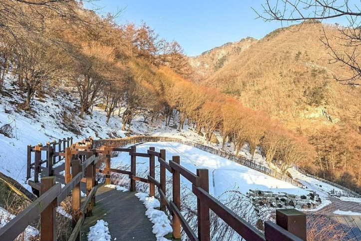 계명산 자연휴양림 여행 추천 - 메고지고