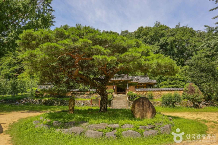 평광동 사과마을 여행 추천 - 메고지고