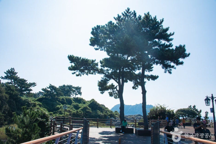 서귀포해양도립공원 여행 추천 - 메고지고