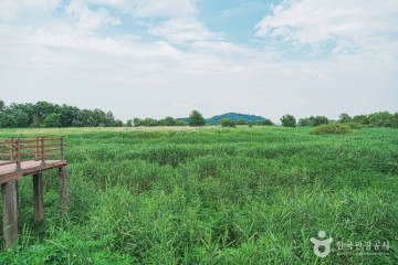 꿩고개공원 여행 추천 - 메고지고