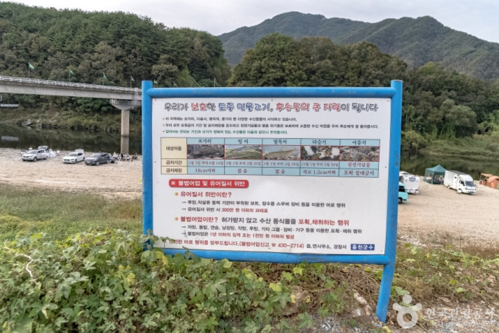 남노일강변유원지 여행 추천 - 메고지고