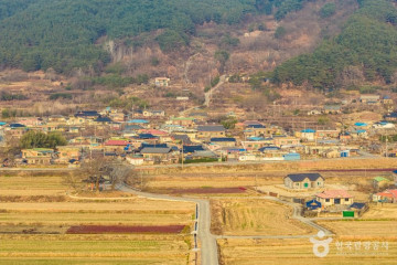 용두마을 여행 추천 - 메고지고