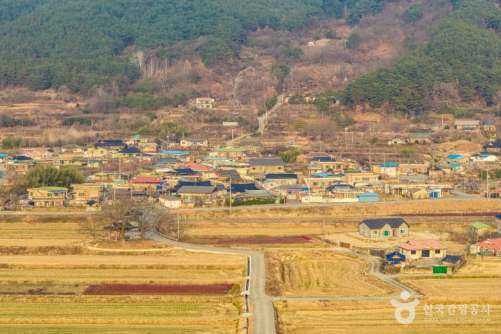 하사마을 여행 추천 - 메고지고