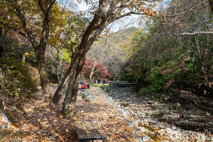소요산국민관광지 여행 추천 - 메고지고