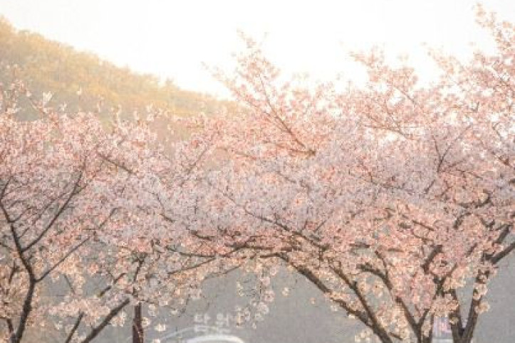 물왕호수 여행 추천 - 메고지고
