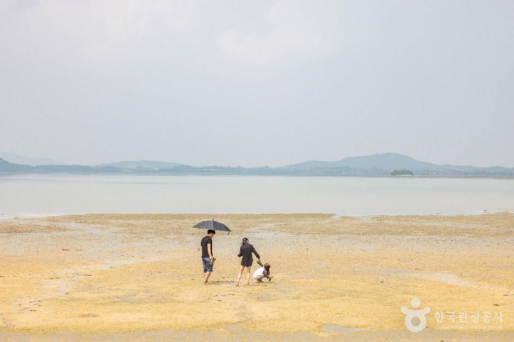 홀통유원지·홀통해변 여행 추천 - 메고지고