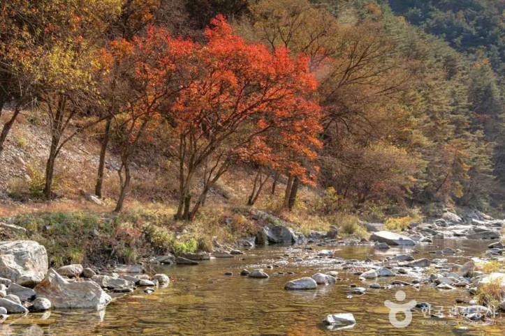 김삿갓 계곡 여행 추천 - 메고지고
