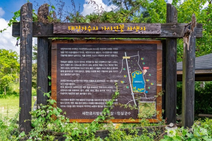 대정저수지 여행 추천 - 메고지고