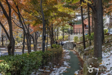 양천나눔누리타운 여행 추천 - 메고지고