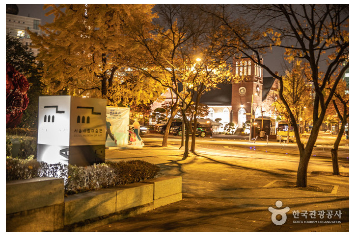 덕수궁 돌담길 여행 추천 - 메고지고