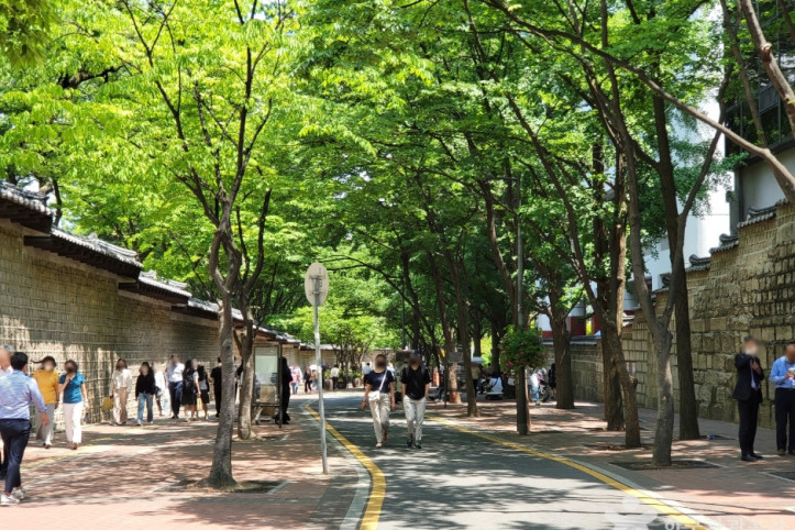 덕수궁 돌담길 여행 추천 - 메고지고