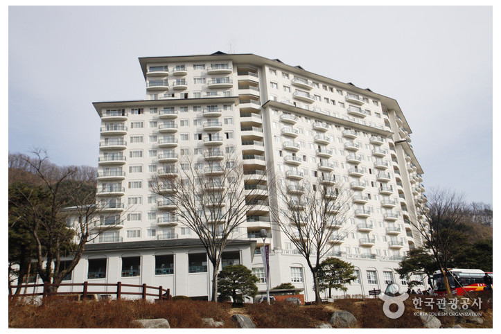 엘리시안 강촌 리조트 여행 추천 - 메고지고