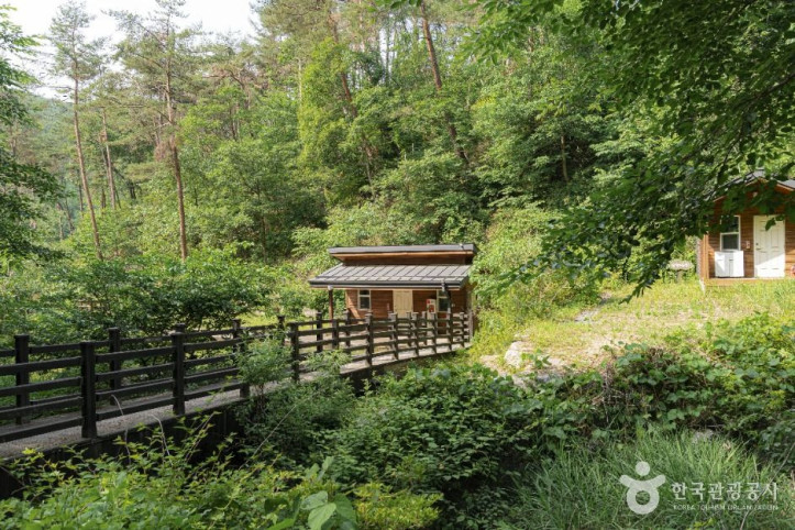 국립양평치유의숲 여행 추천 - 메고지고