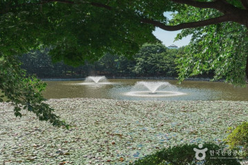 서희테마파크 여행 추천 - 메고지고