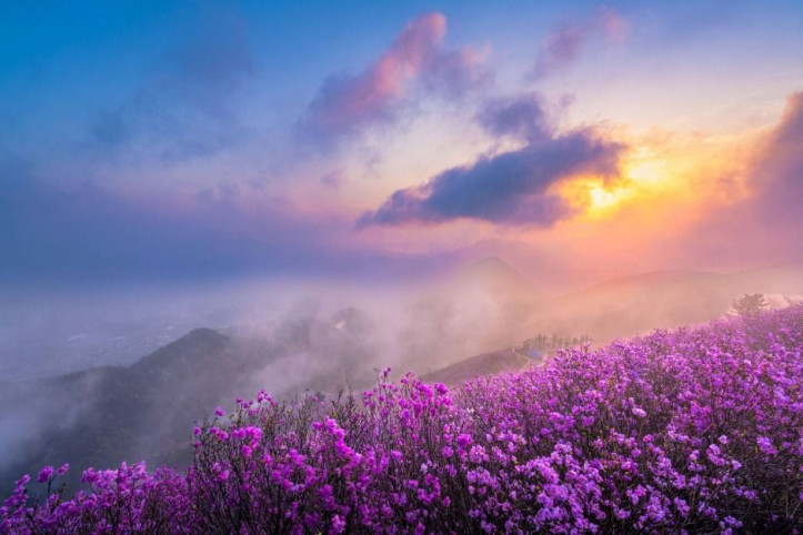 천주산 여행 추천 - 메고지고