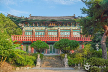키위키즈랜드 여행 추천 - 메고지고