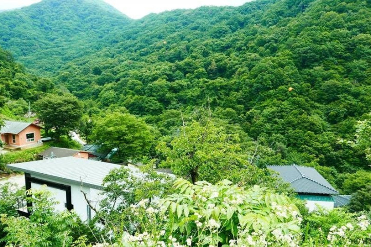 지리산 천년송 여행 추천 - 메고지고