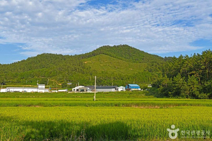 대죽마을 여행 추천 - 메고지고