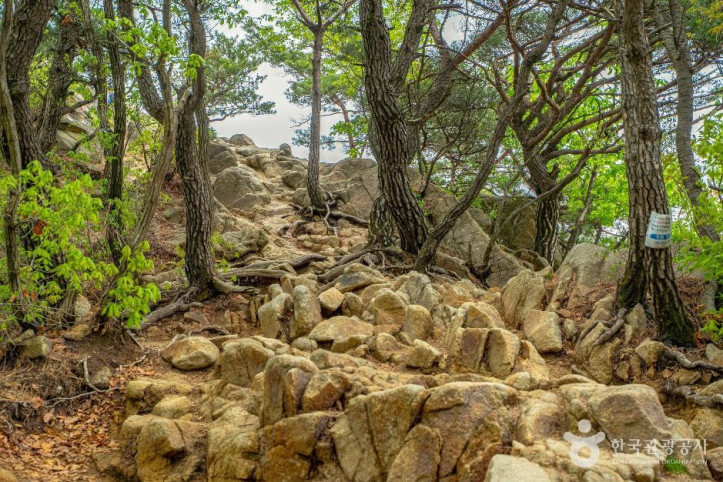 관악산 여행 추천 - 메고지고