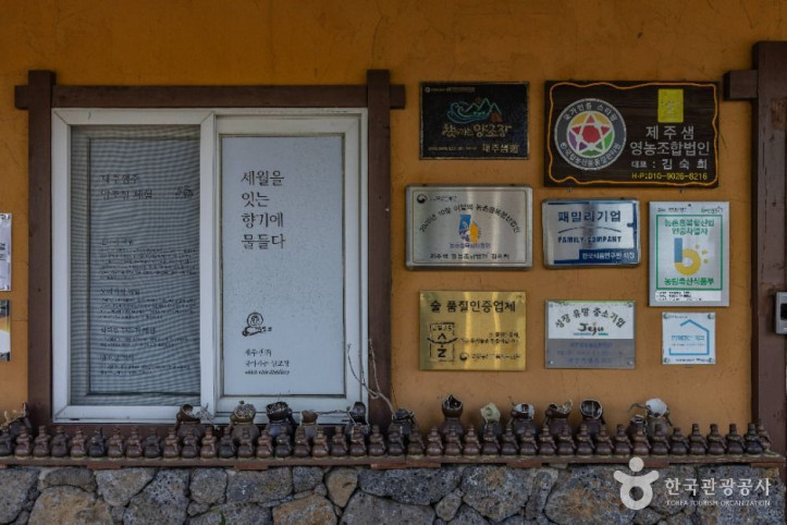 제주샘주 양조장 여행 추천 - 메고지고