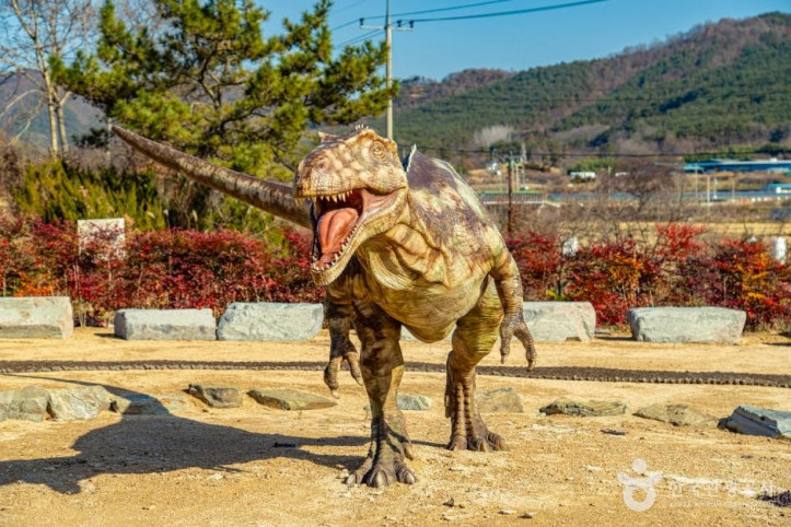 서유리 공룡화석지 (무등산권 국가지질공원) 여행 추천 - 메고지고