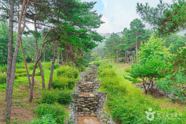 금성산생태숲 여행 추천 - 메고지고