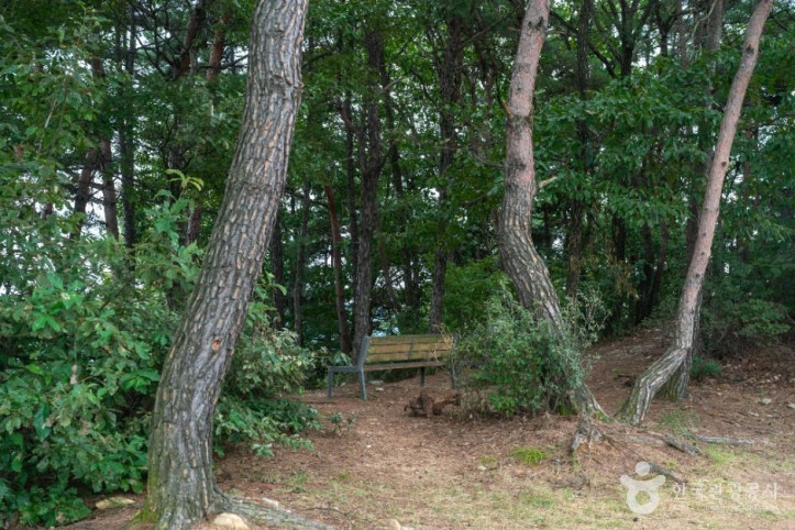 충주 장미산성 여행 추천 - 메고지고