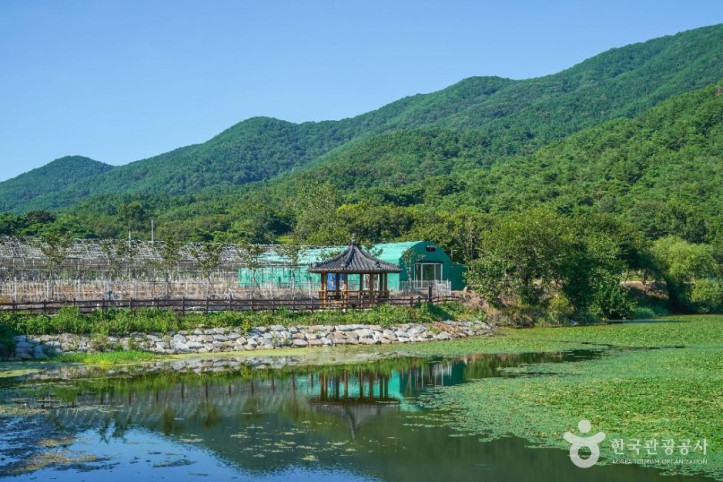 유등지 여행 추천 - 메고지고