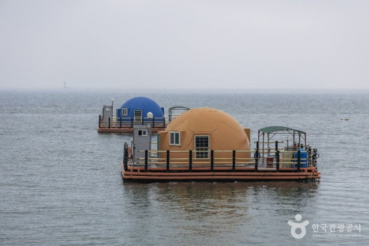 비토해양낚시공원 여행 추천 - 메고지고