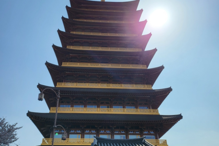 황룡원 여행 추천 - 메고지고