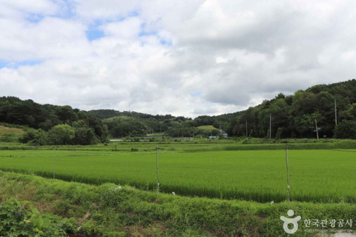 부여 신암친환경마을 여행 추천 - 메고지고