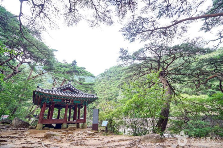농산정 여행 추천 - 메고지고
