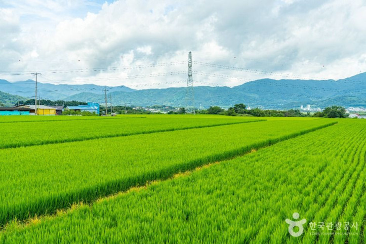 용두마을 여행 추천 - 메고지고