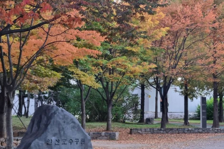 안산호수공원 여행 추천 - 메고지고