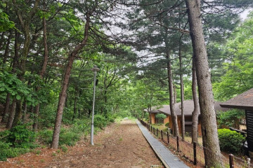 양주 회암사지 여행 추천 - 메고지고