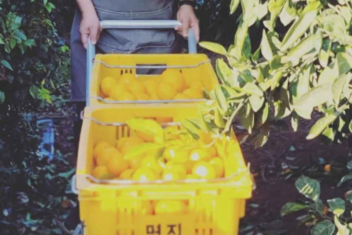 나무와열매 체험농장 여행 추천 - 메고지고