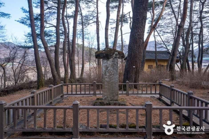 영월 청령포 여행 추천 - 메고지고