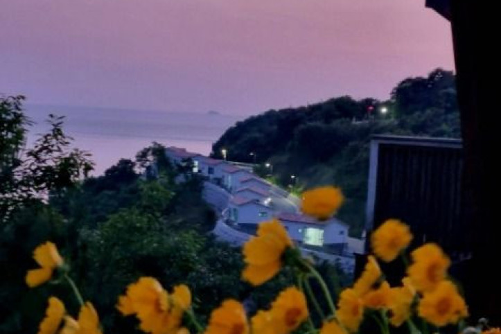 변산자연휴양림 여행 추천 - 메고지고