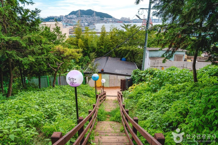 우암동 도시숲 여행 추천 - 메고지고